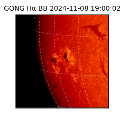 gong - 2024-11-08T19:00:02