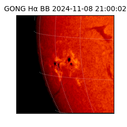 gong - 2024-11-08T21:00:02