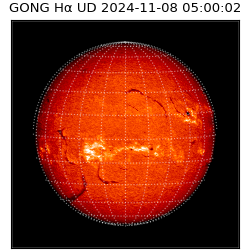 gong - 2024-11-08T05:00:02