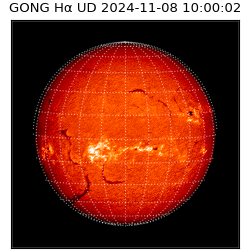 gong - 2024-11-08T10:00:02