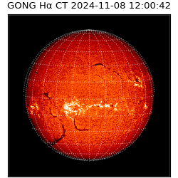 gong - 2024-11-08T12:00:42