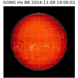gong - 2024-11-08T19:00:02