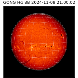 gong - 2024-11-08T21:00:02