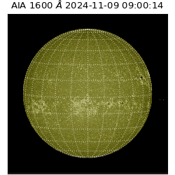 saia - 2024-11-09T09:00:14.141000