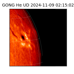 gong - 2024-11-09T02:15:02