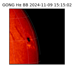 gong - 2024-11-09T15:15:02