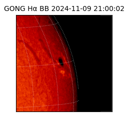 gong - 2024-11-09T21:00:02