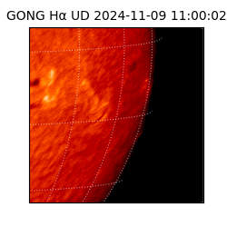gong - 2024-11-09T11:00:02