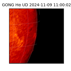 gong - 2024-11-09T11:00:02