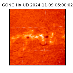 gong - 2024-11-09T06:00:02