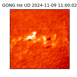 gong - 2024-11-09T11:00:02
