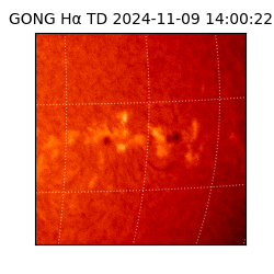 gong - 2024-11-09T14:00:22