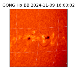 gong - 2024-11-09T16:00:02
