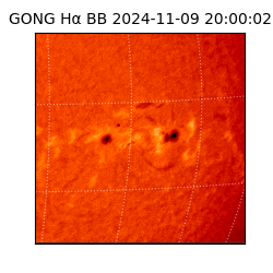 gong - 2024-11-09T20:00:02