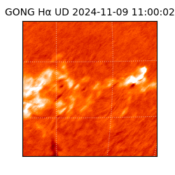 gong - 2024-11-09T11:00:02