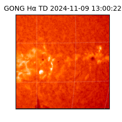 gong - 2024-11-09T13:00:22