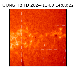 gong - 2024-11-09T14:00:22