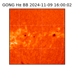 gong - 2024-11-09T16:00:02