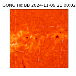gong - 2024-11-09T21:00:02