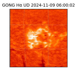 gong - 2024-11-09T06:00:02