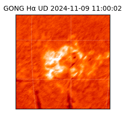 gong - 2024-11-09T11:00:02