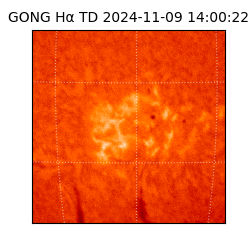 gong - 2024-11-09T14:00:22