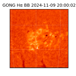 gong - 2024-11-09T20:00:02
