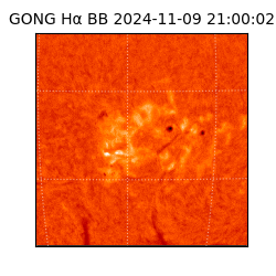 gong - 2024-11-09T21:00:02