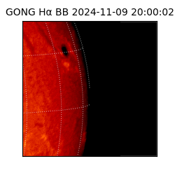 gong - 2024-11-09T20:00:02