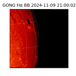 gong - 2024-11-09T21:00:02