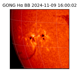 gong - 2024-11-09T16:00:02