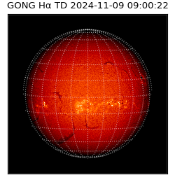 gong - 2024-11-09T09:00:22