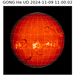 gong - 2024-11-09T11:00:02