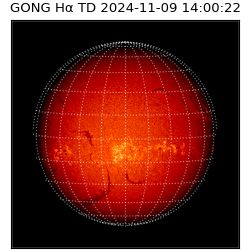 gong - 2024-11-09T14:00:22