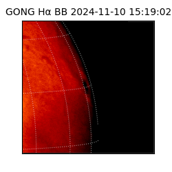 gong - 2024-11-10T15:19:02
