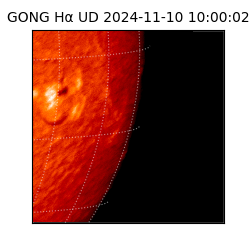 gong - 2024-11-10T10:00:02