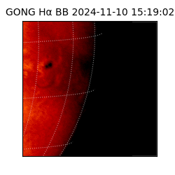 gong - 2024-11-10T15:19:02