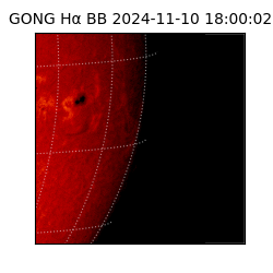 gong - 2024-11-10T18:00:02