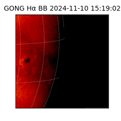 gong - 2024-11-10T15:19:02