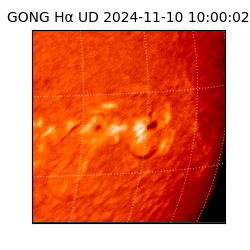 gong - 2024-11-10T10:00:02