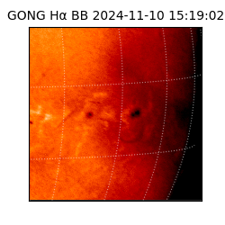 gong - 2024-11-10T15:19:02