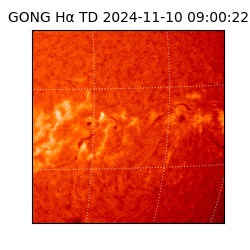 gong - 2024-11-10T09:00:22