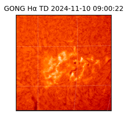 gong - 2024-11-10T09:00:22