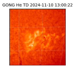 gong - 2024-11-10T13:00:22