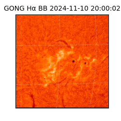 gong - 2024-11-10T20:00:02