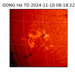 gong - 2024-11-10T08:18:22