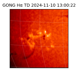 gong - 2024-11-10T13:00:22