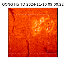 gong - 2024-11-10T09:00:22