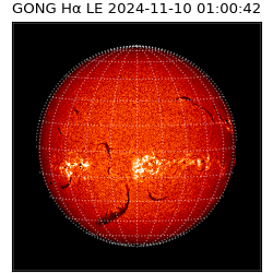 gong - 2024-11-10T01:00:42