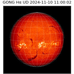 gong - 2024-11-10T11:00:02